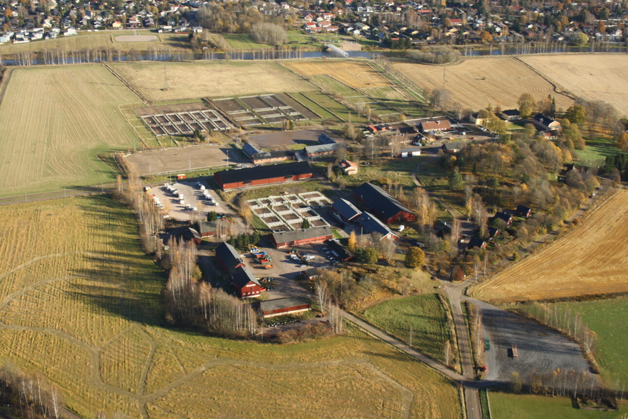 Ilmakuva IMG